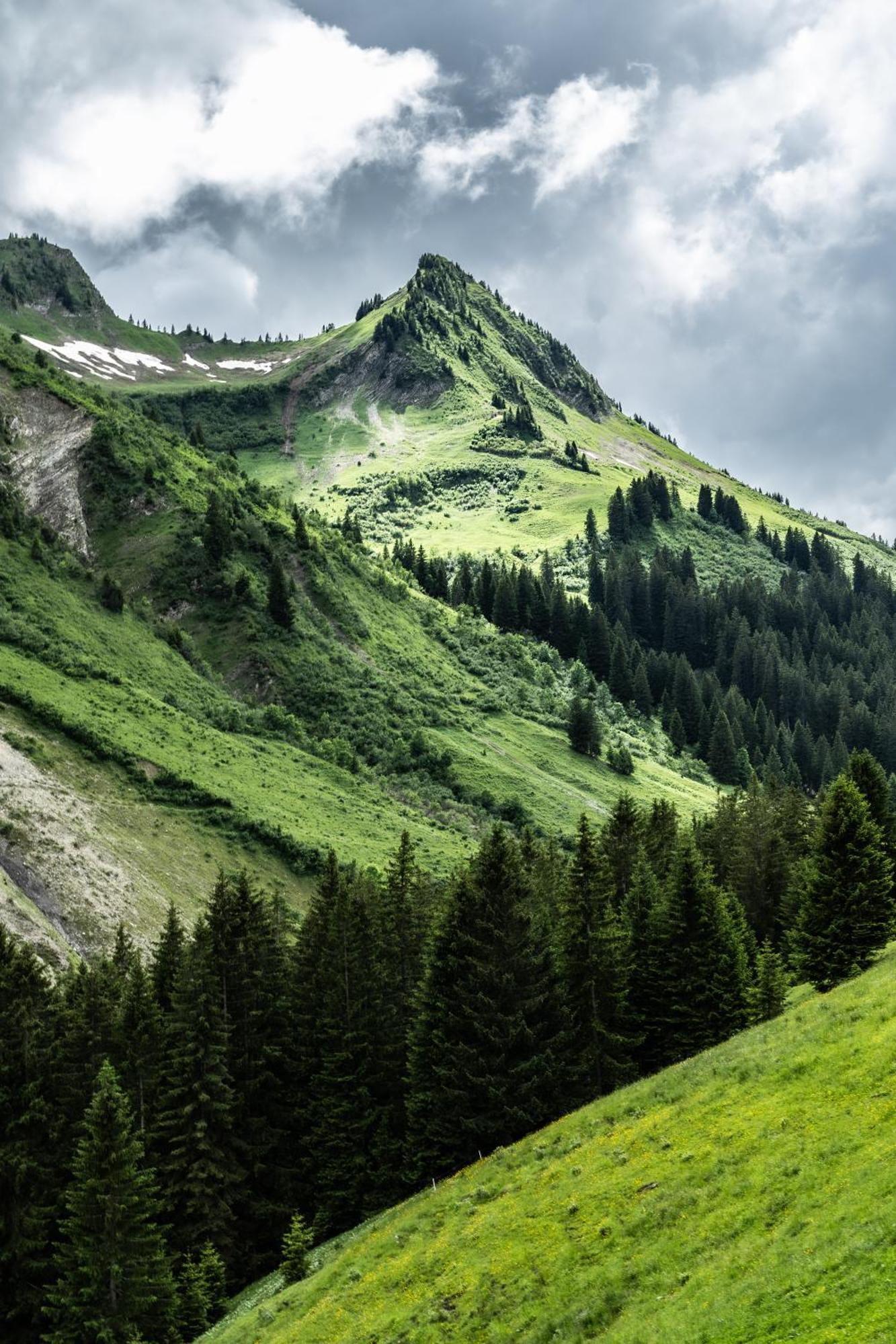 Отель Gasthaus Ursprung Дамульс Экстерьер фото